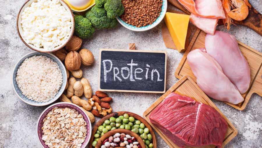 protein-giam-can-1