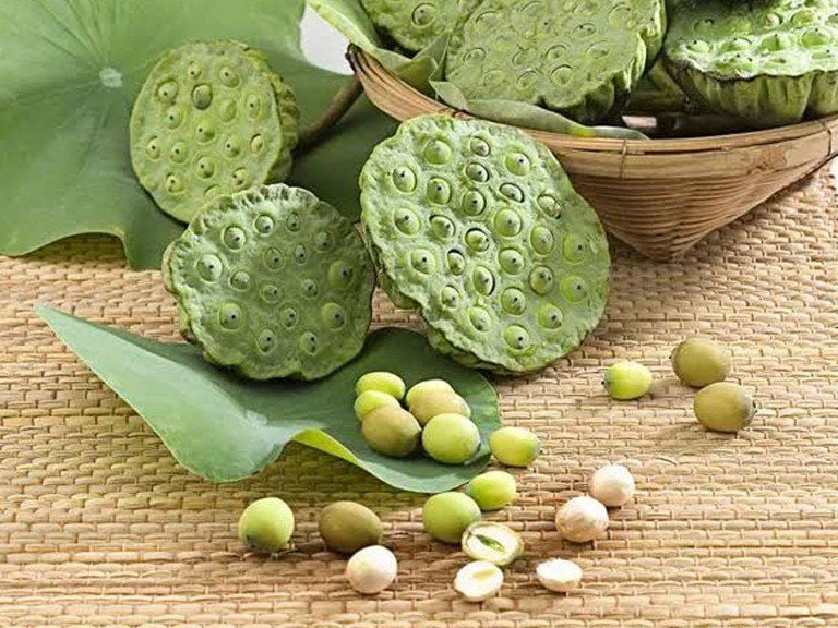 dinh dưỡng của hạt sen