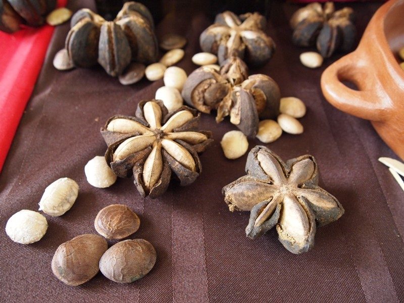 thành phần dinh dưỡng hạt sachi