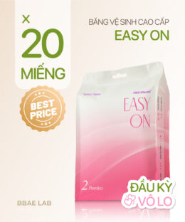 Combo 20 băng vệ sinh cao cấp EASY ON